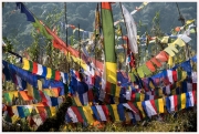 35-Sikkim-18