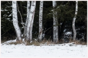 01-Winter-100218