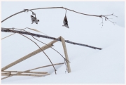 03-Winter-100218