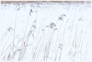 05-Winter-100218