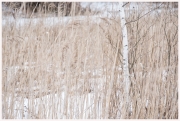 06-Winter-100218