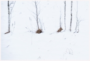 09-Winter-100218