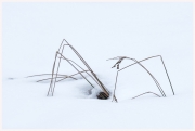 10-Winter-100218