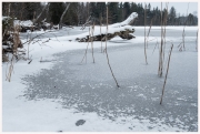 13-Winter-100218
