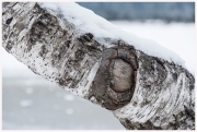 15-Winter-100218