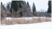 22-Winter-100218