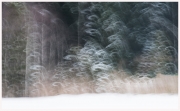 24-Winter-100218
