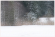 24-Winter-1002181