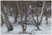 25-Winter-100218