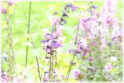 06-Blumen-Freising-250721