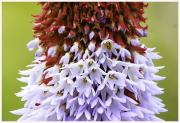 23-Blumen-Freising-250721