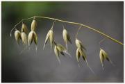27-Blumen-Freising-250721