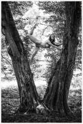 074-sw-Blumenthal-030721
