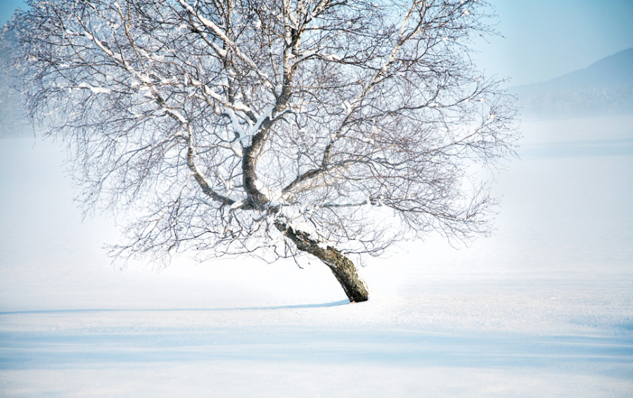 02_Winter